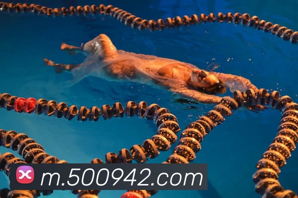 平台使命图